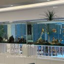 오천수족관 | 명지 수족관이 있는 아이랑 가기좋은 물고기 대형 카페 비스타말