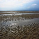 이태식 | 30년 만에 다시 넘는 준령, <태백산맥>