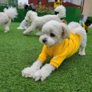 제제네멍치원(성내점) 이미지