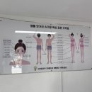 베이비왁싱 | 마산왁싱 햄톨 댓거리 슈가링 왁싱 후기