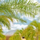 서천우리약국 이미지