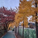 창동교 화장실 이미지