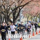 2024 대청호 벚꽃길 마라톤 대회 이미지