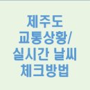 서홍2교↔중앙로타리↔동홍사거리↔비석거리 | 제주도 cctv로 지역별 실시간 날씨정보 확인 노하우&amp;교통상황