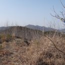 고흥야채 - 강서구 강서로 261 | 고흥야채