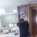 트리필름 이미지