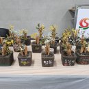 구평동-27 이미지