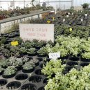 강릉아기동물농장 이미지