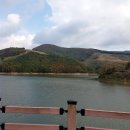 용현목장 Daum카페