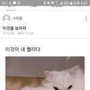 쓰담 이미지