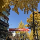 신촌김안과의원 | 무통M라섹/신촌 빛사랑안과/1~7일차 후기