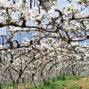 봉암농장 이미지