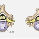 건강튼튼의원 이미지