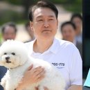 전초전 이미지