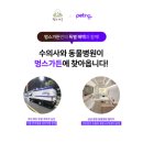 멍스가든 | 강아지 만족도 최고! 성남 태평동 산성동 애견유치원 멍스가든 후기
