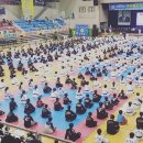 타이거 합기도 도장 이미지