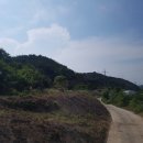 정근농장 이미지