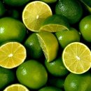 라임 이미지