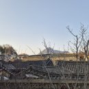 5743 | 북촌 한옥마을 카페 추천 | 안국역 데이트코스 | 오설록 티하우스 북촌점 주말 방문 후기 🍵