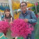 한길양계 이미지