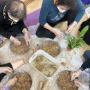 수태1리 이미지