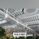 어로프헤븐