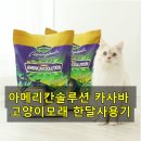 모래상자