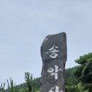 송악힐링풋스킨