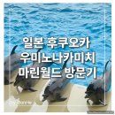 점프마스터(2관) | [후쿠오카 여행] 우미노나카미치 마린월드 방문기, 귀여운 돌고래야 안녕!