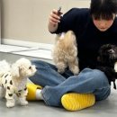 옐레드 문래역점 이미지