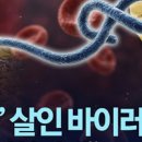 필자네