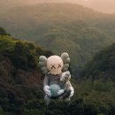 카우스