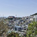 새영주시장 이미지