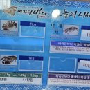 카페바라던바다 이미지