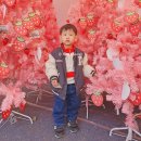 [25.3.29.토] 딸기 구경도 못한 😭슬픈 🍓논산 딸기축제 후기