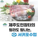 [제주도민장터]에서 서귀포 수협의 수산물을 지금 만나보세요! 이미지