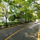 백범로 124번길 이미지