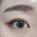 아이젠트리렌즈미 세종다정점 이미지