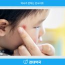 경대약국 - 중구 동덕로30길 37-1 | 경대약국