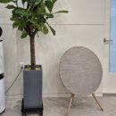 서문 365 정형외과 의원 이미지