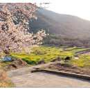 남해펜션타운 이미지