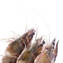 건강하새우 이미지