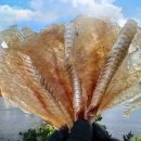 건어물과 주전부리 이미지