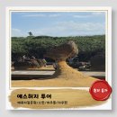 세븐일레븐 내손공원점 | 대만여행))예스허지투어4탄_지우펀에서 살아남기_깨끗한화장실,쉴곳,필수구매템 다 알려드림_내돈내산...