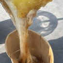 법원 호떡 이미지