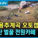 대야산벌꿀전원카페.문경용추계곡캠핑장