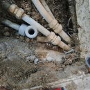 안성대로 이미지