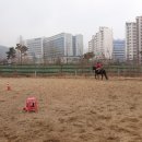 초원을 달리자 이미지
