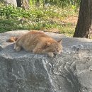 서프키키 | 240525_동해 삼척 삼척쏠비치 근처 서핑 서프키키 후기