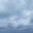 곽지튜브 이미지